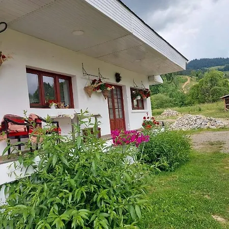 Apartment Casa Rodica