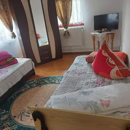 Apartment Casa Rodica