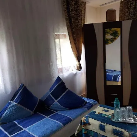 Casa Rodica Apartment Vatra Dornei