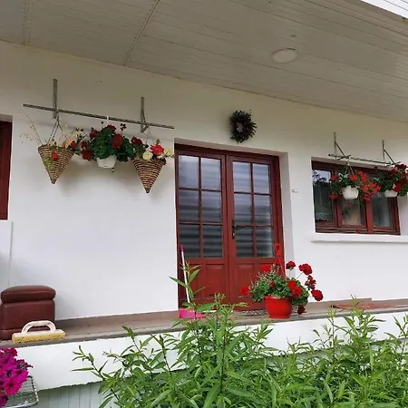 Casa Rodica *