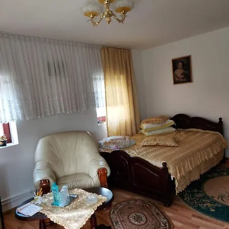 Apartment Casa Rodica Vatra Dornei