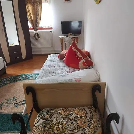 Casa Rodica Vatra Dornei