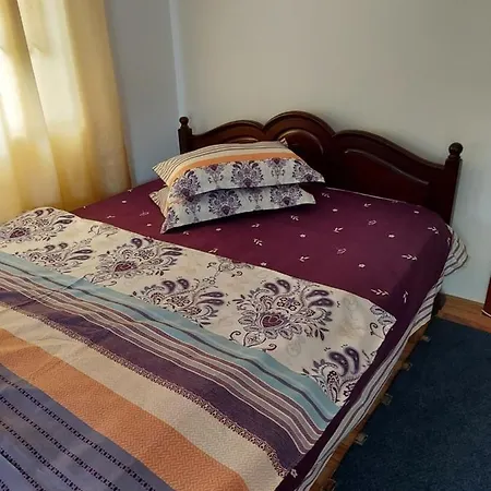 Casa Rodica * Vatra Dornei