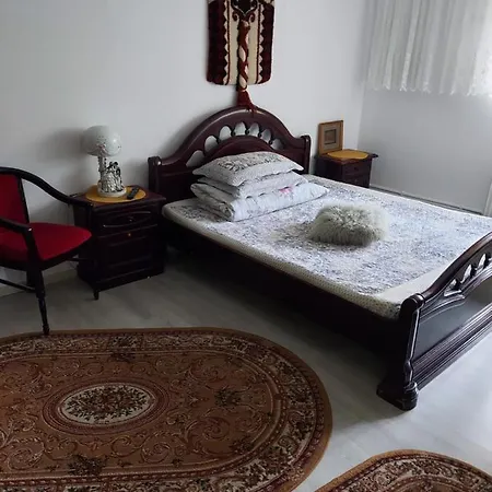 Casa Rodica Apartment