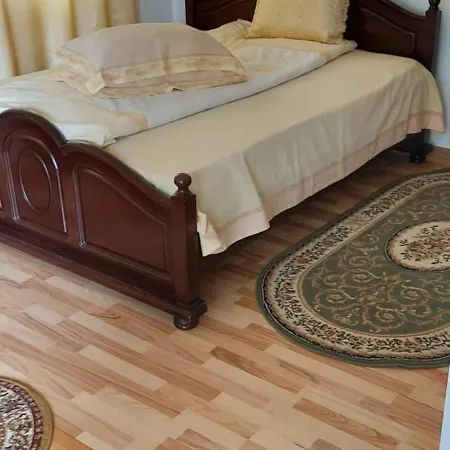 Apartment Casa Rodica